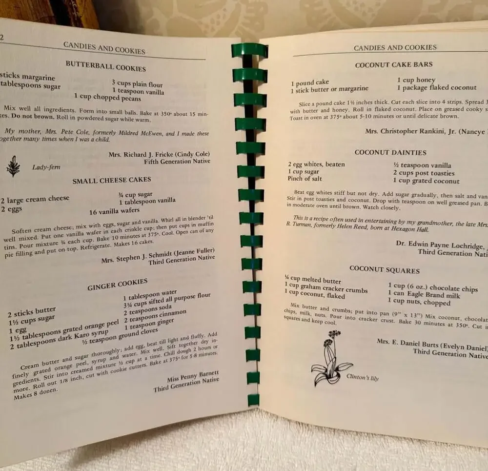 Vintage Atlanta Natives’ Favorite Recipes Cookbook 1983 Southern Cooking